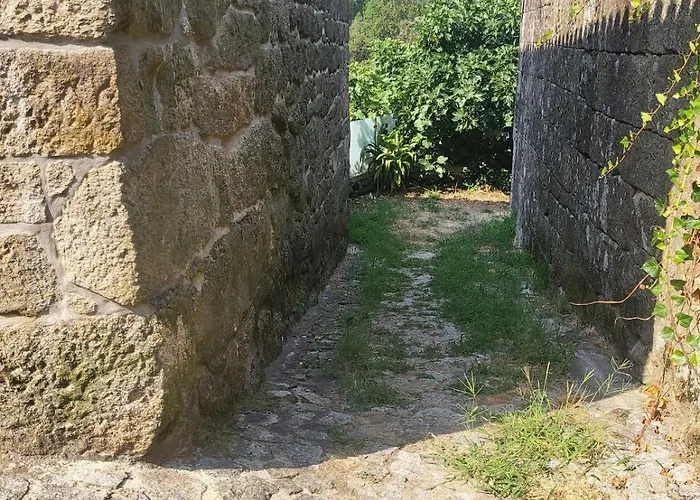 Cantinho Do Mourao Familial Com Terraco E Salamandra * Ribeira de Pena